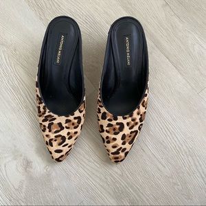 Antonio Melani leopard print mules